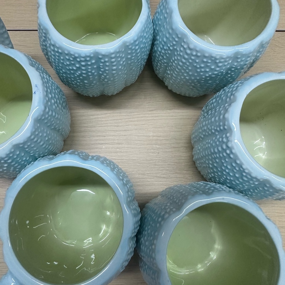 Kate Williams Sea Urchin Coffee Mug Cup by Global Design Mint Color Set of 6 EUC - Picture 3 of 8